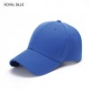 Flemington Caps royal blue
